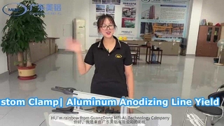 অ্যালুমিনিয়াম Anodizing উত্পাদন লাইন জন্য কাস্টম বাতা