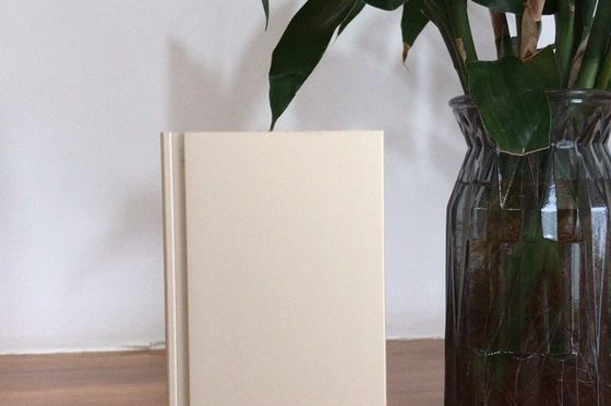 মাসিক সরবরাহ ক্ষমতা ৯০০ টন ম্যানুয়াল অক্সিডেশন উৎপাদন লাইন